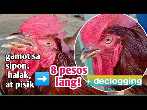 Gamot Sa Halak,Pisik at sipon ng Manok (Doxylak .